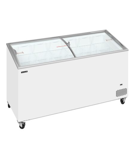 IC551SCEB