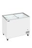 IC301SC
